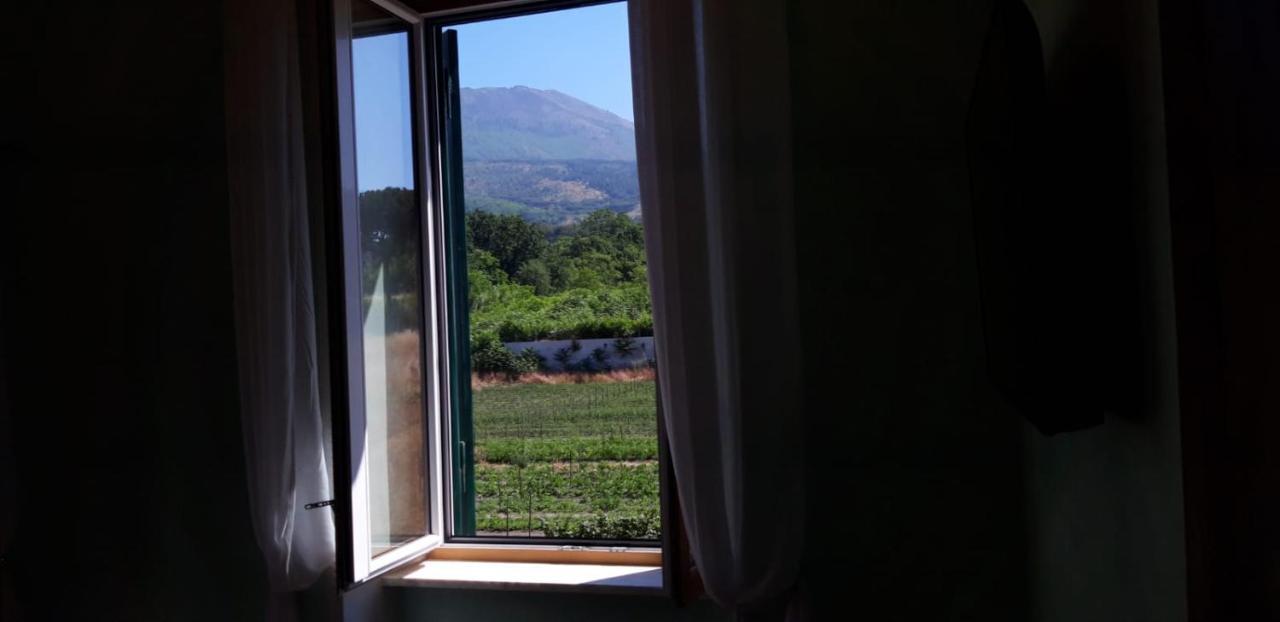 Villa Mazza Al Vesuvio 托雷德尔格雷科 外观 照片